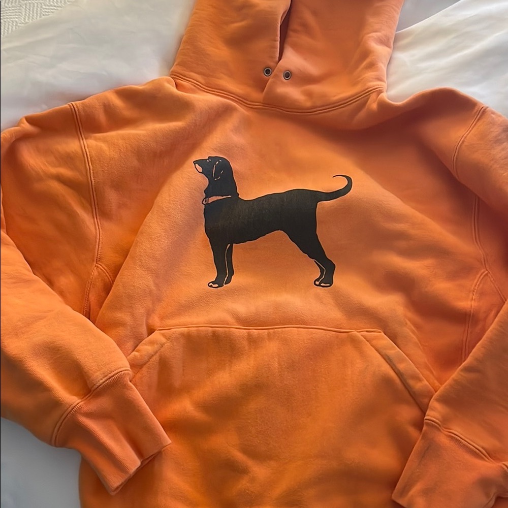 Orange Dog Hoodie